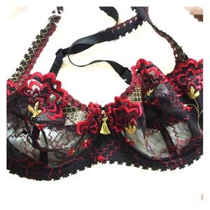 Beautiful Chantelle mesh embroider bra